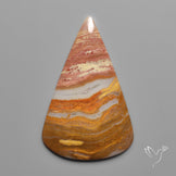 Arizona Petrified Wood Cabochon
