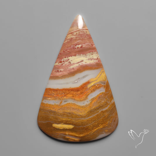Arizona Petrified Wood Cabochon
