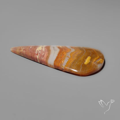 Arizona Petrified Wood Cabochon