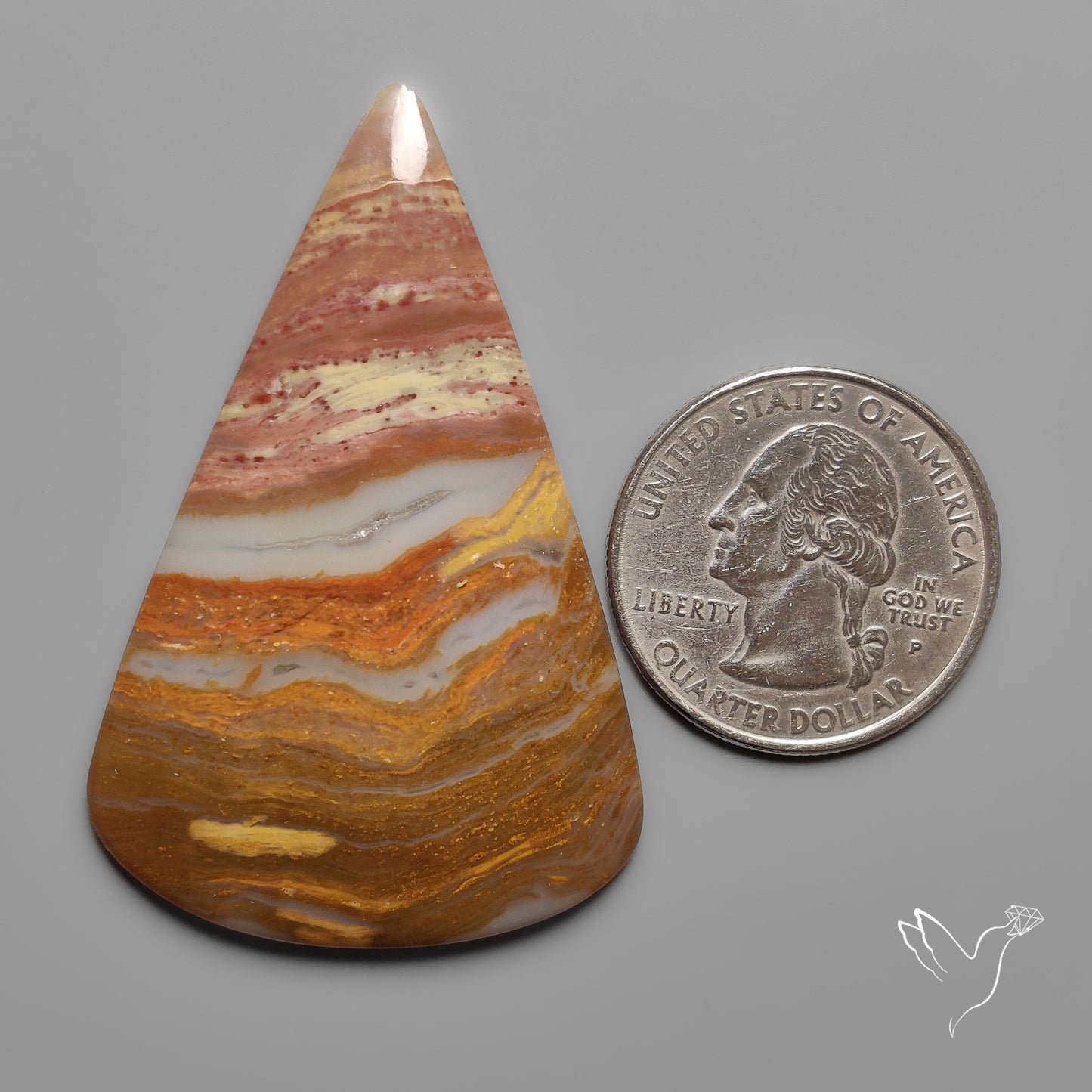 Arizona Petrified Wood Cabochon