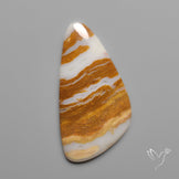 Arizona Petrified Wood Cabochon