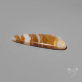 Arizona Petrified Wood Cabochon
