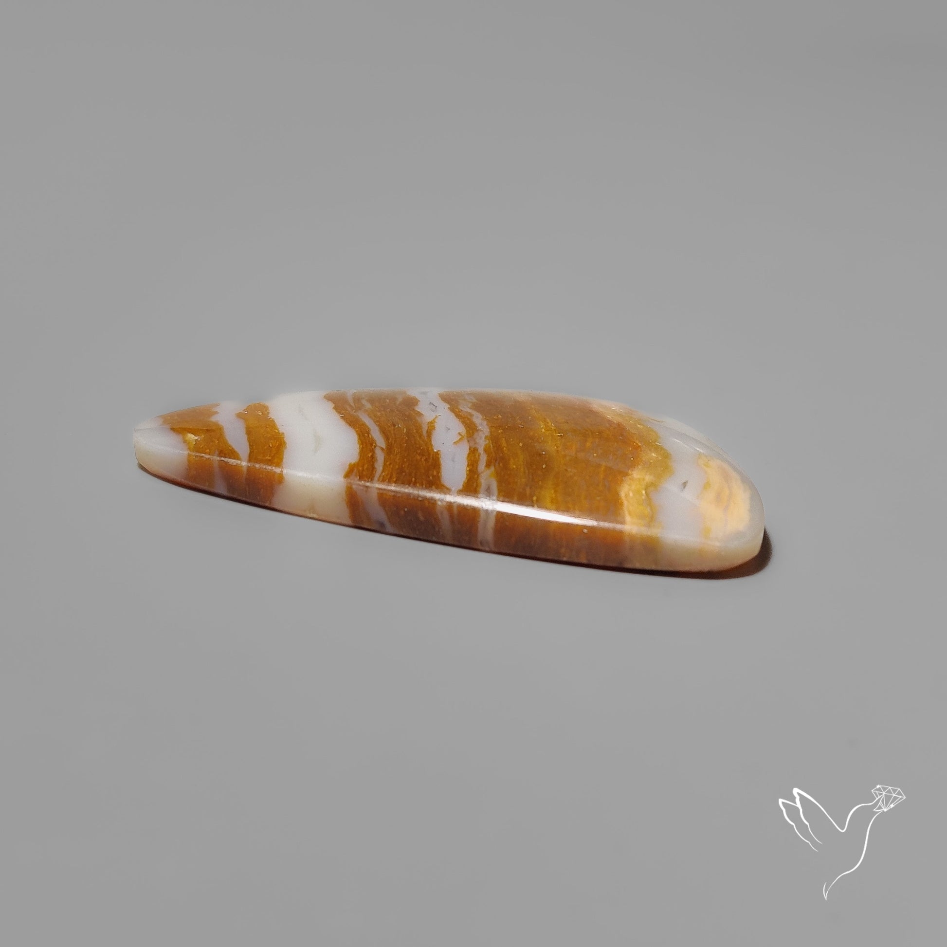 Arizona Petrified Wood Cabochon