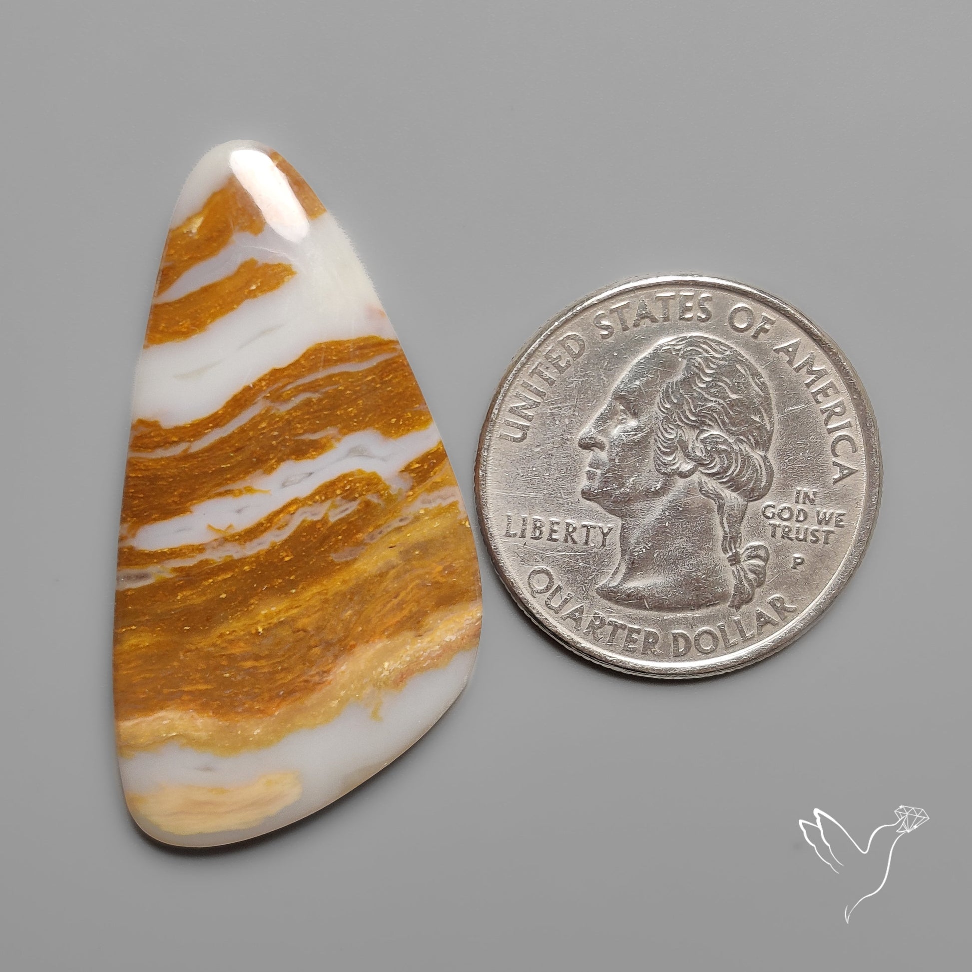 Arizona Petrified Wood Cabochon