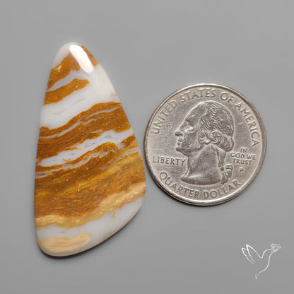 Arizona Petrified Wood Cabochon