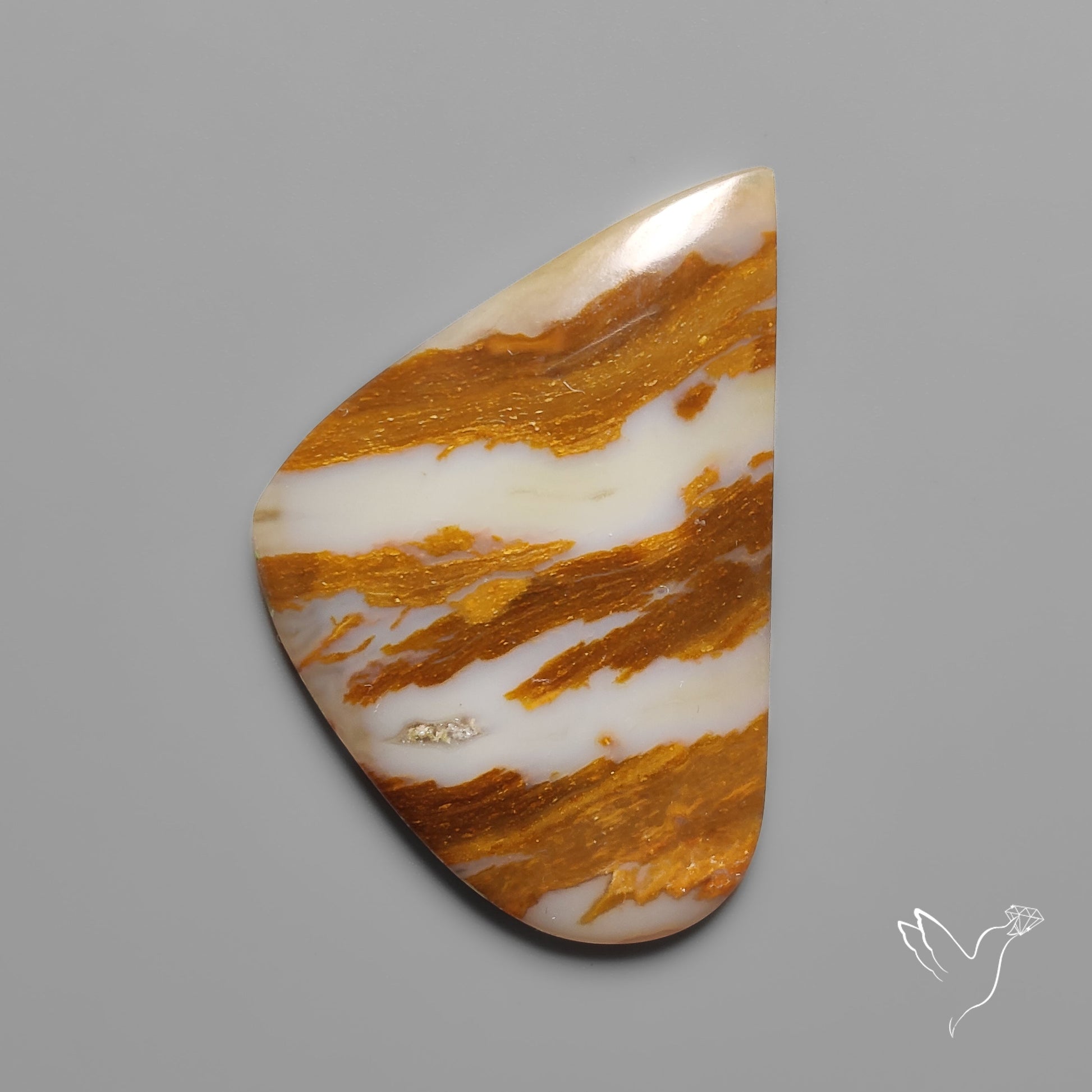 Arizona Petrified Wood Cabochon