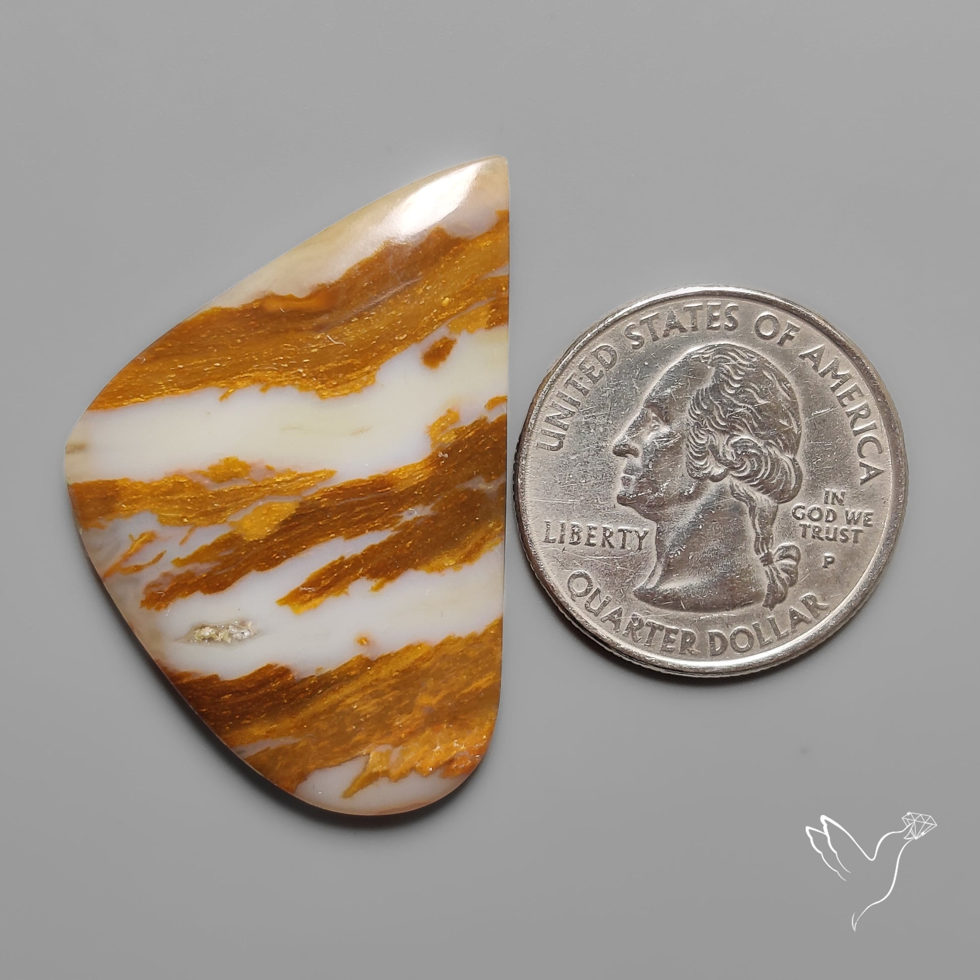 Arizona Petrified Wood Cabochon