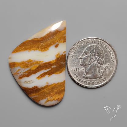 Arizona Petrified Wood Cabochon