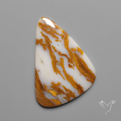 Arizona Petrified Wood Cabochon