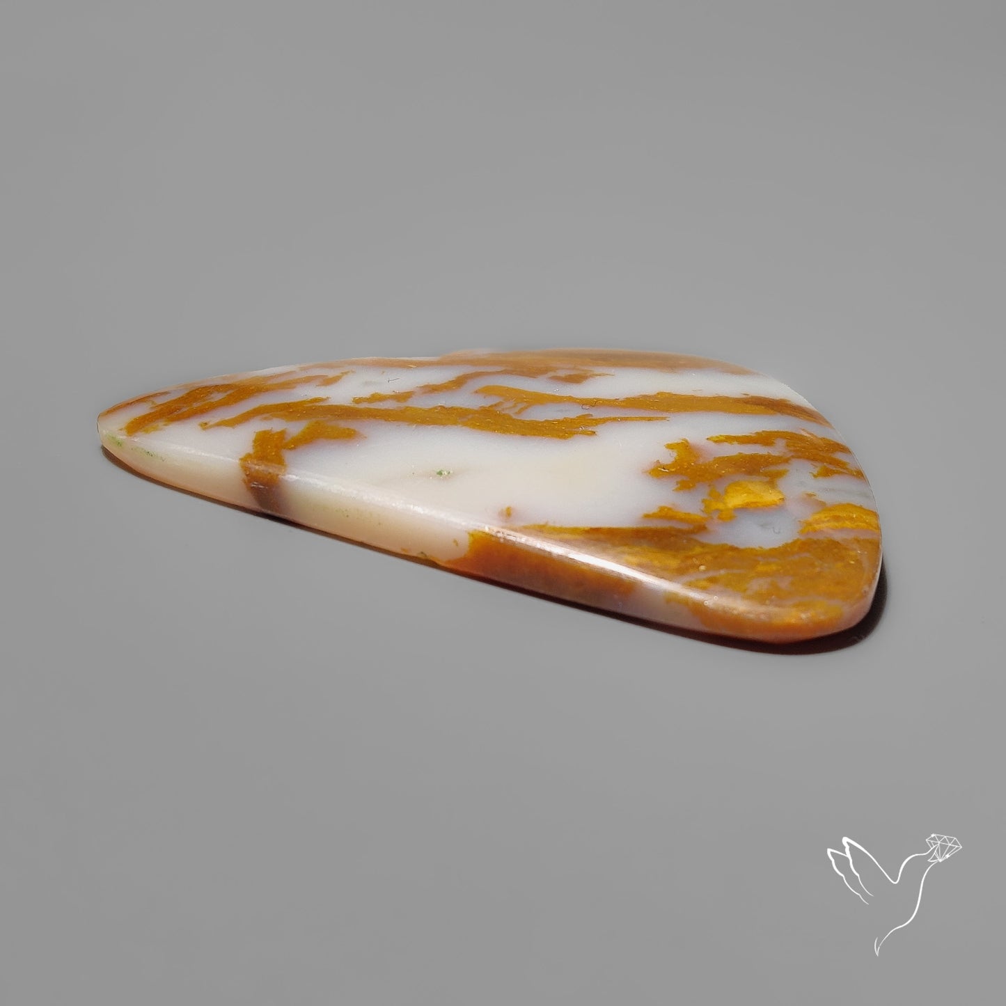 Arizona Petrified Wood Cabochon