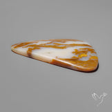 Arizona Petrified Wood Cabochon