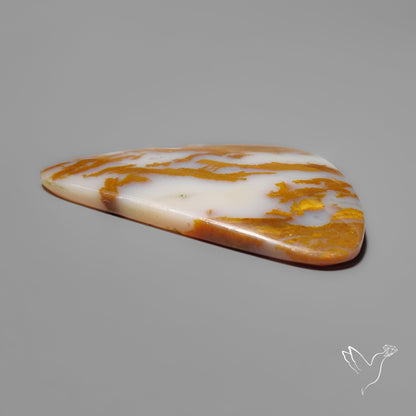 Arizona Petrified Wood Cabochon