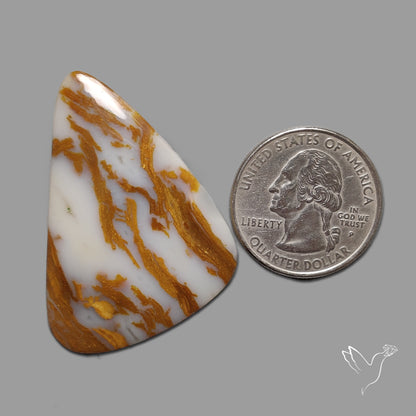 Arizona Petrified Wood Cabochon