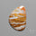 Arizona Petrified Wood Cabochon