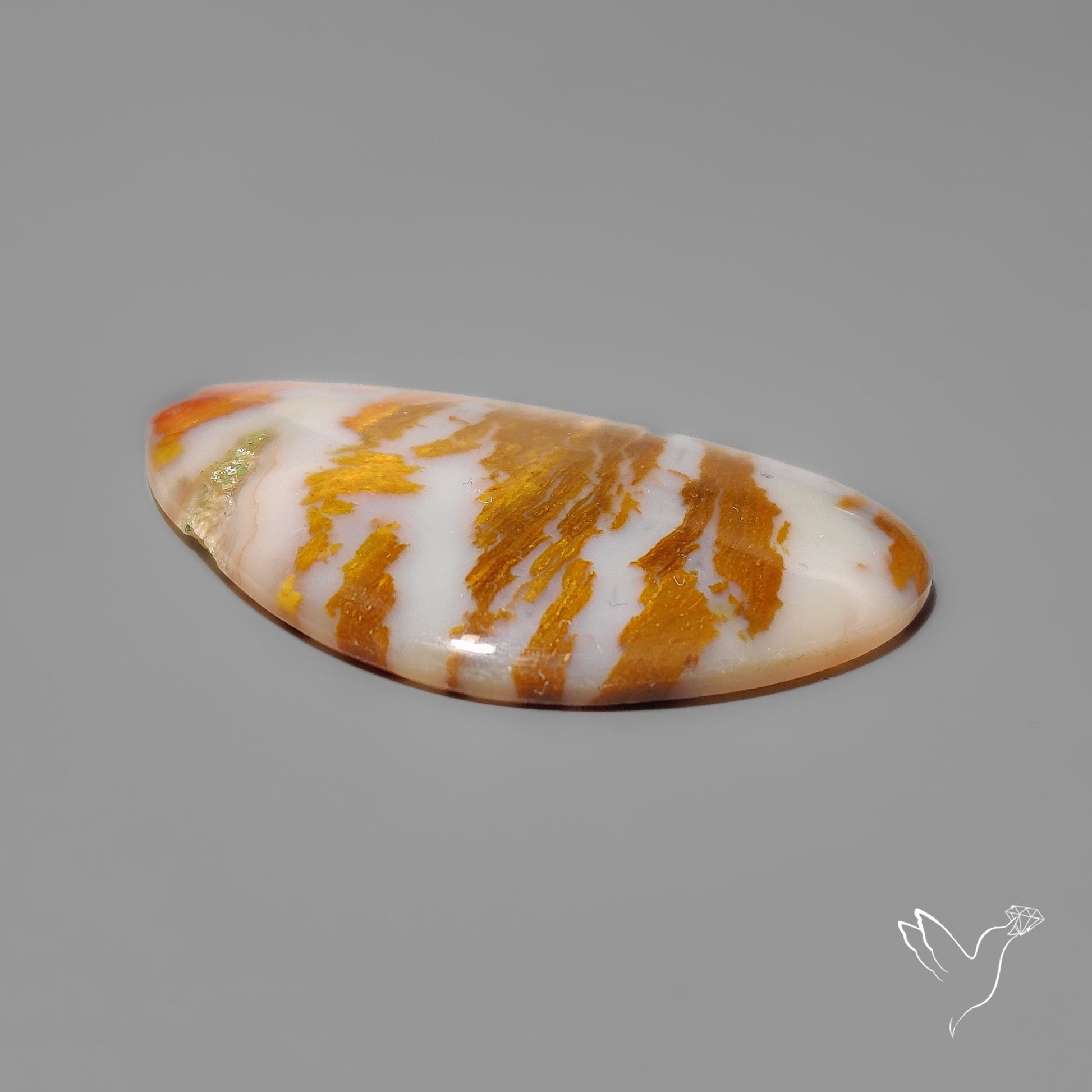 Arizona Petrified Wood Cabochon