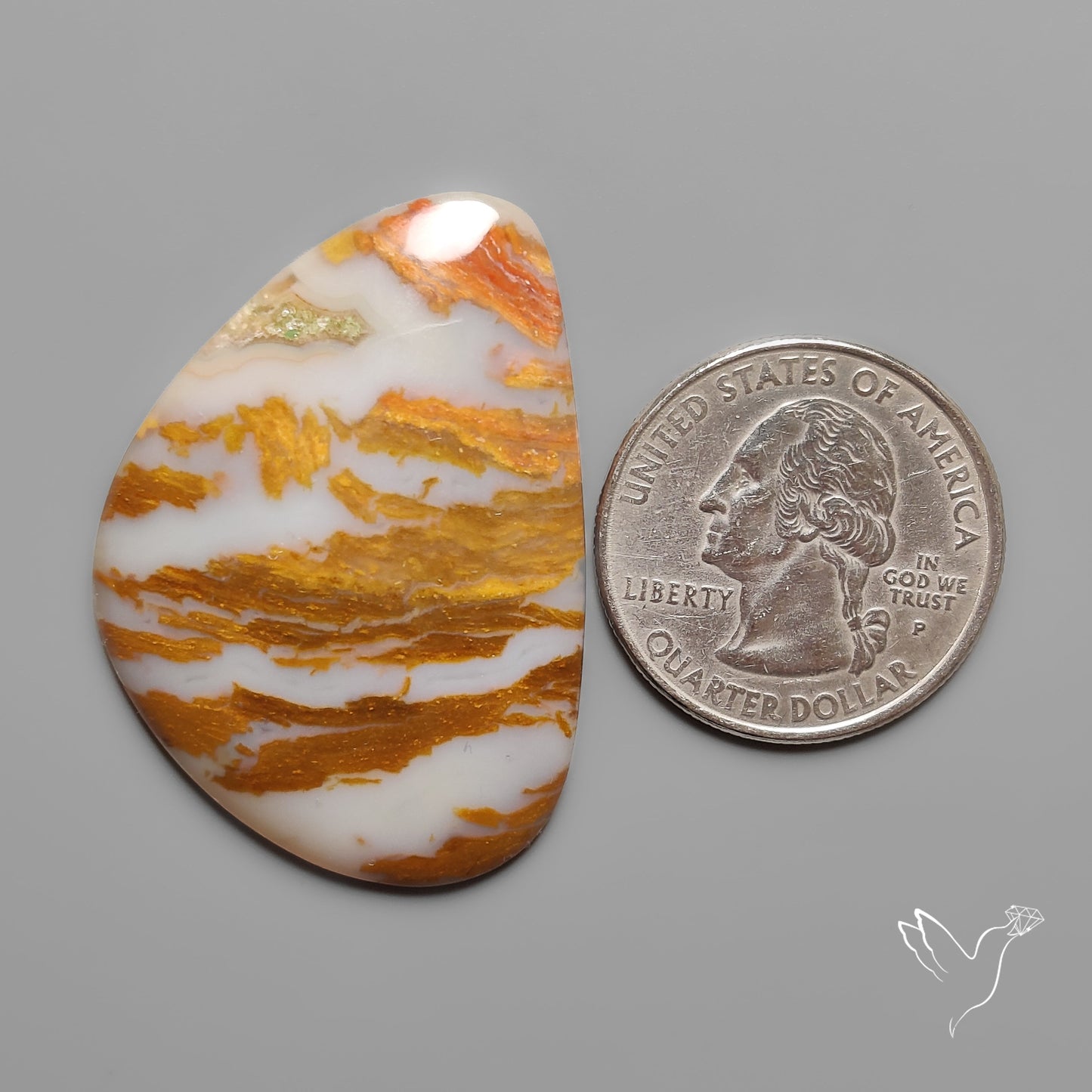 Arizona Petrified Wood Cabochon