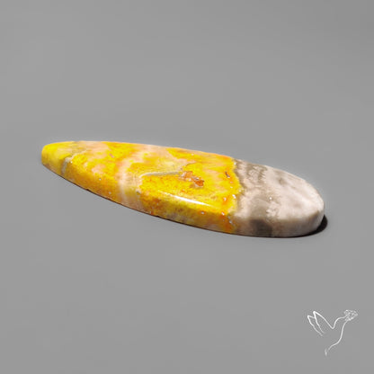 Bumble Bee Jasper Cabochon