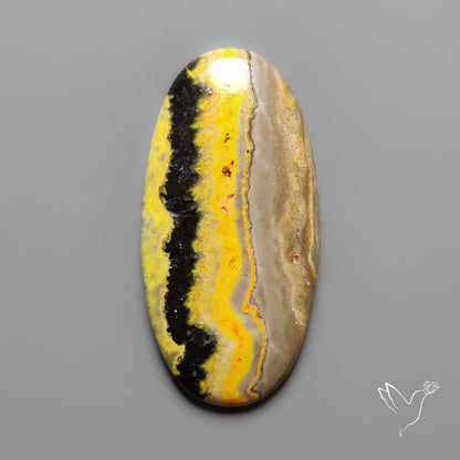 Bumble Bee Jasper Cabochon