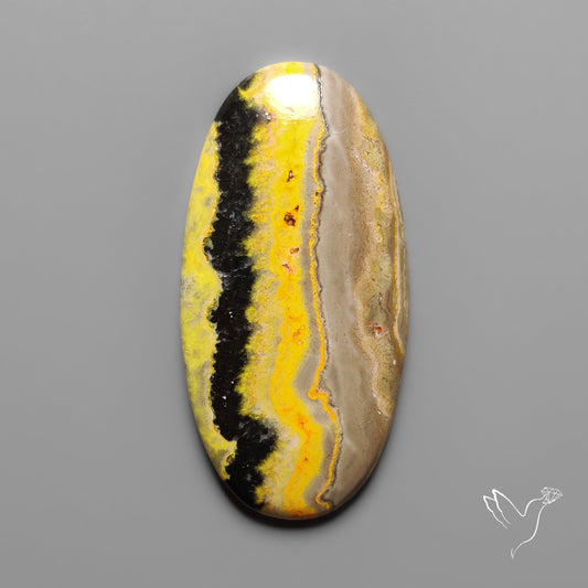 Bumble Bee Jasper Cabochon