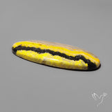 Bumble Bee Jasper Cabochon