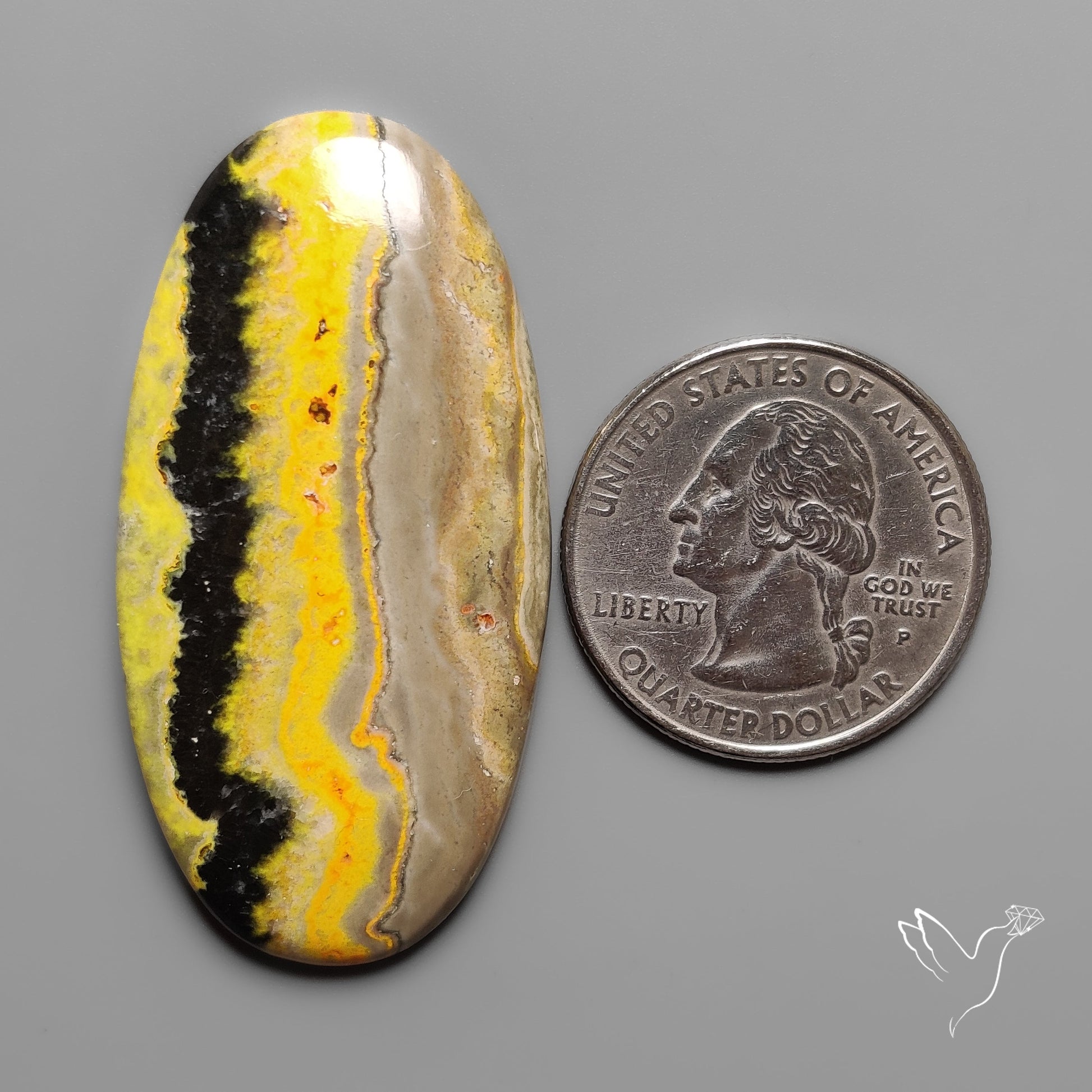 Bumble Bee Jasper Cabochon