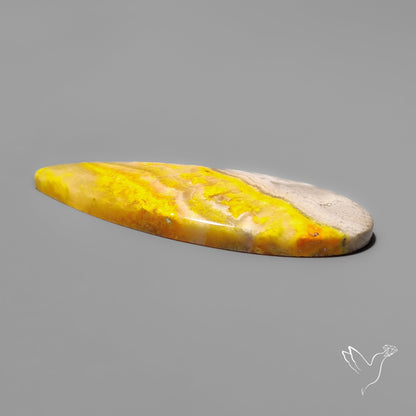 Bumble Bee Jasper Cabochon