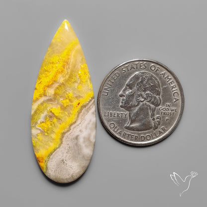 Bumble Bee Jasper Cabochon