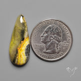 Bumble Bee Jasper Cabochon