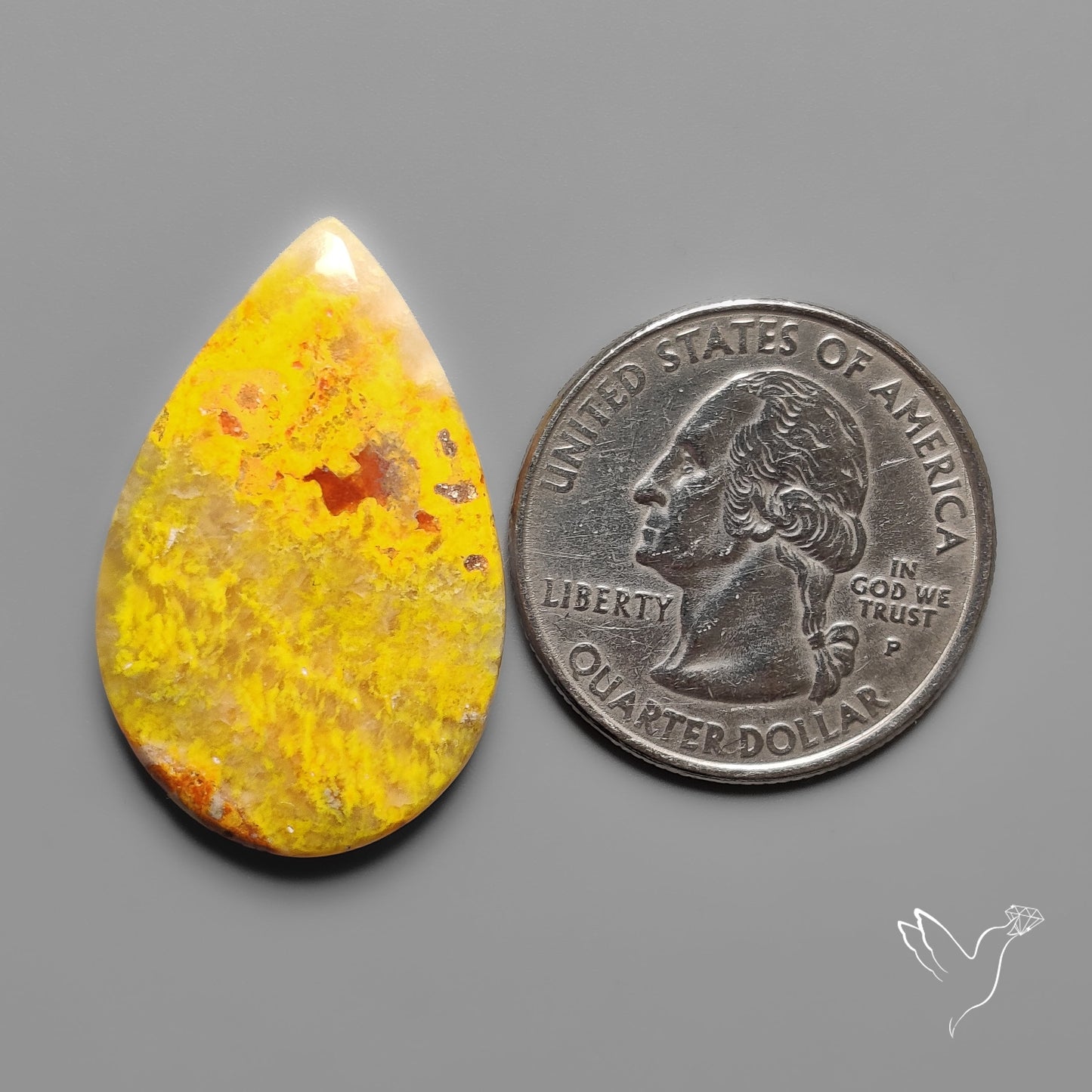 Bumble Bee Jasper Cabochon