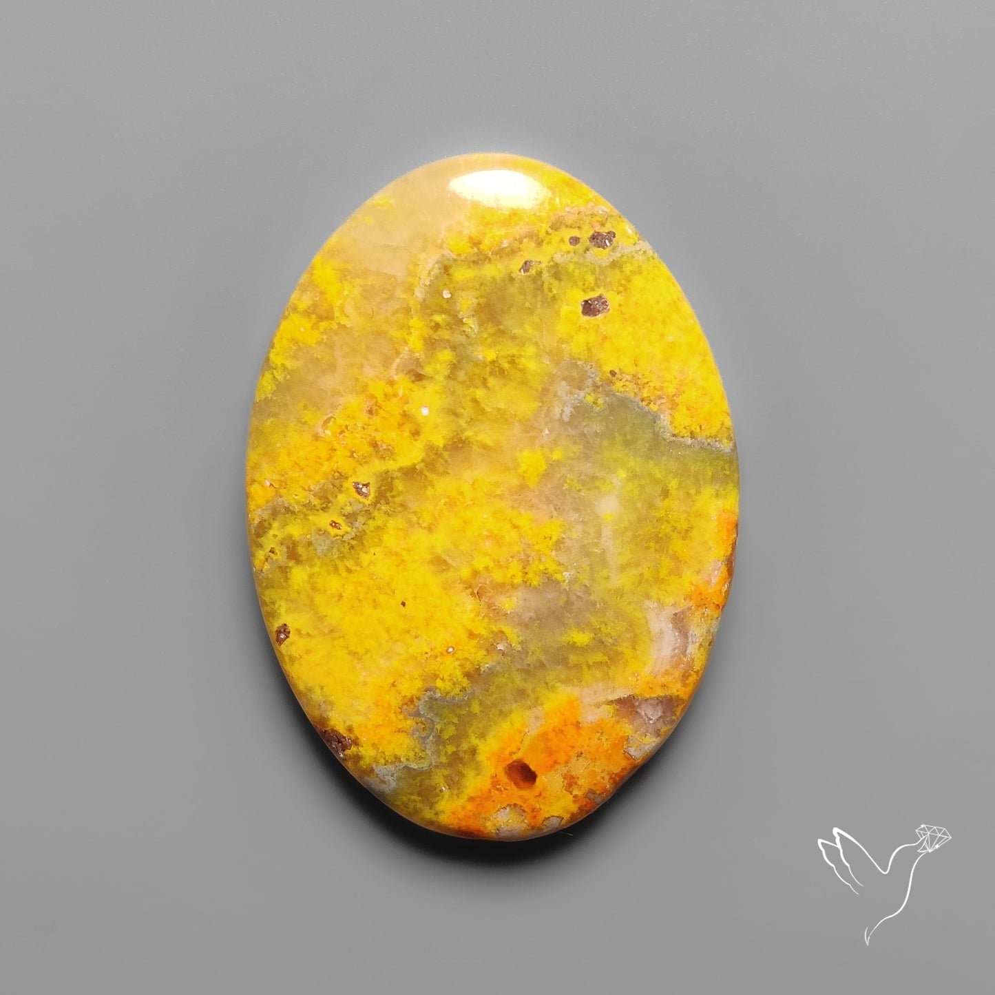 Bumble Bee Jasper Cabochon