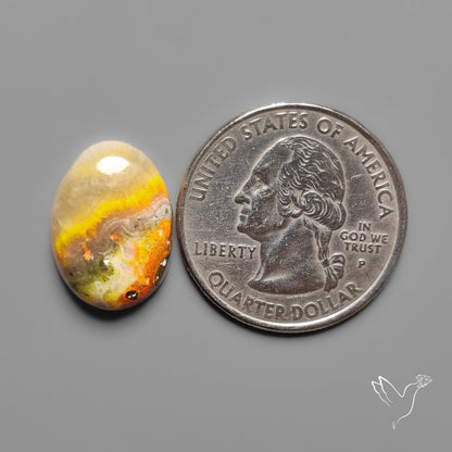 Bumble Bee Jasper Cabochon
