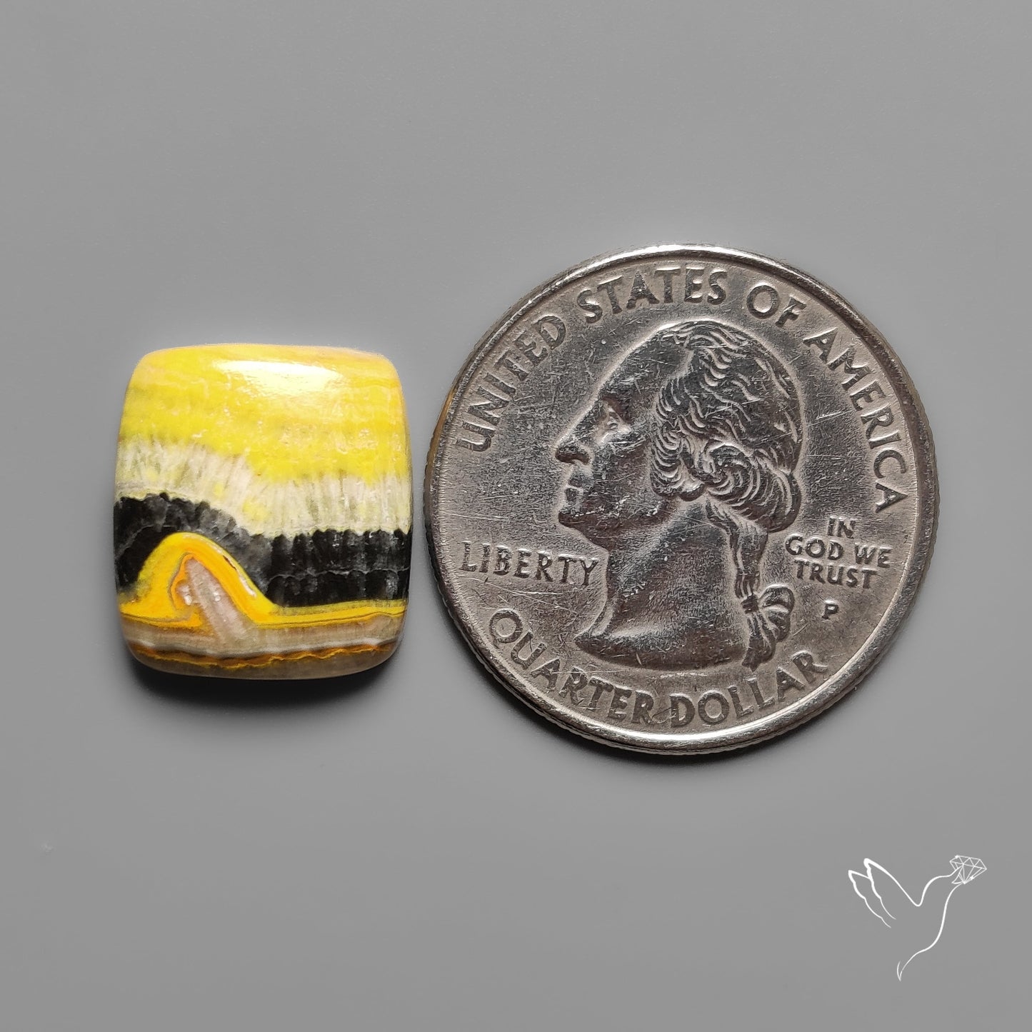 Bumble Bee Jasper Cabochon