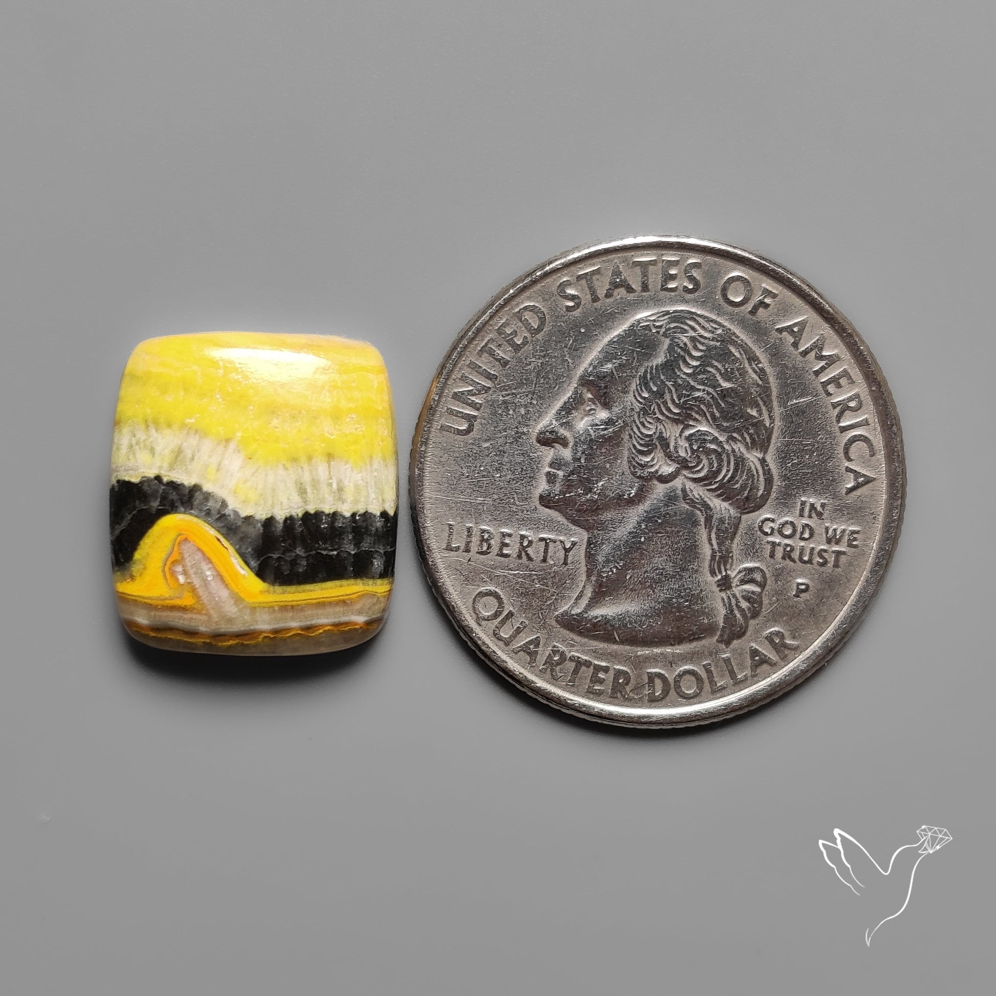 Bumble Bee Jasper Cabochon