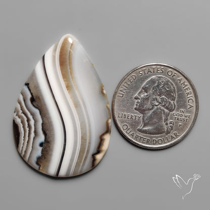 Black Banded Agate Cabochon