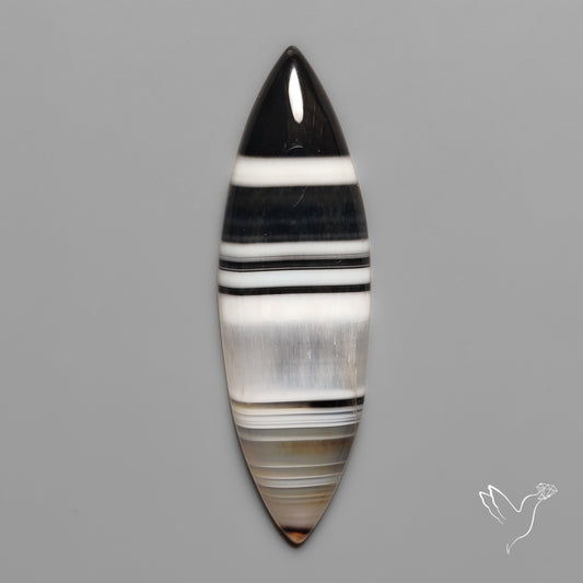 Black Banded Agate Cabochon