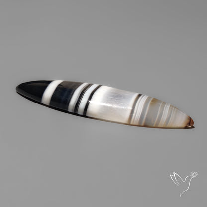 Black Banded Agate Cabochon