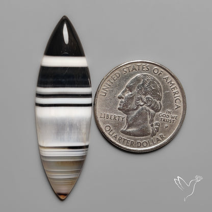 Black Banded Agate Cabochon