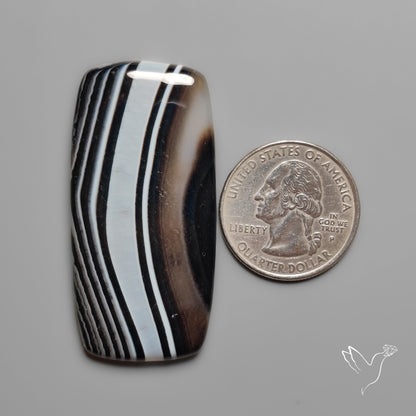 Black Banded Agate Cabochon