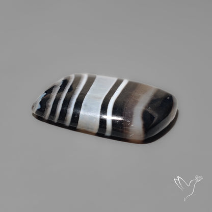 Black Banded Agate Cabochon