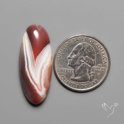 Botswana Agate Cabochon