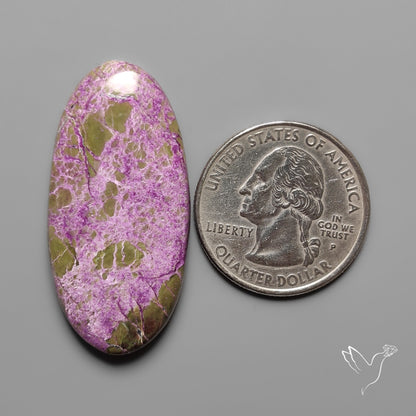 Stitchtite Cabochon