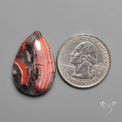 Snakeskin Jasper Cabochon