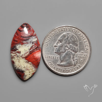 Snakeskin Jasper Cabochon