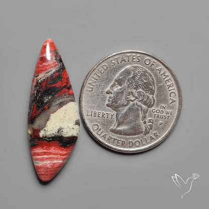 Snakeskin Jasper Cabochon