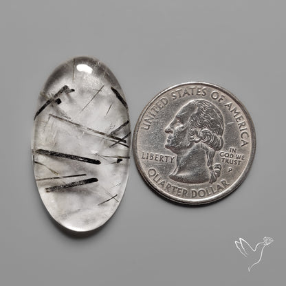 Black Tourmalinated Quartz Cabochon