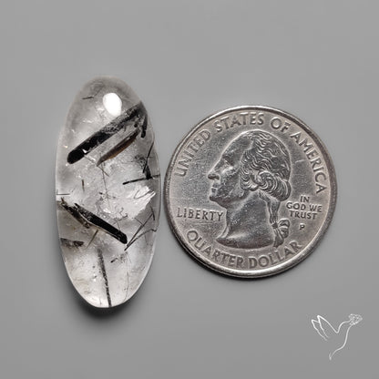 Black Tourmalinated Quartz Cabochon