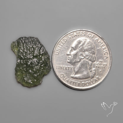 Rare Natural Moldavite Raw Green