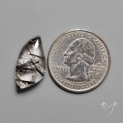 Black Tourmalinated Quartz Cabochon