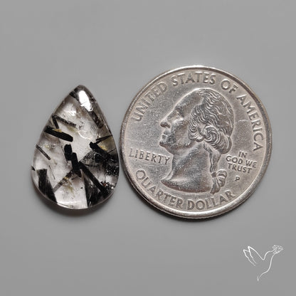Black Tourmalinated Quartz Cabochon