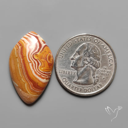 Wagul Jasper Cabochon
